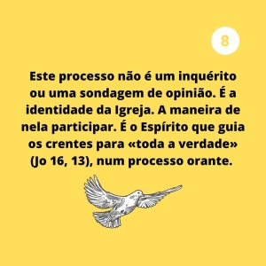 sinodo08